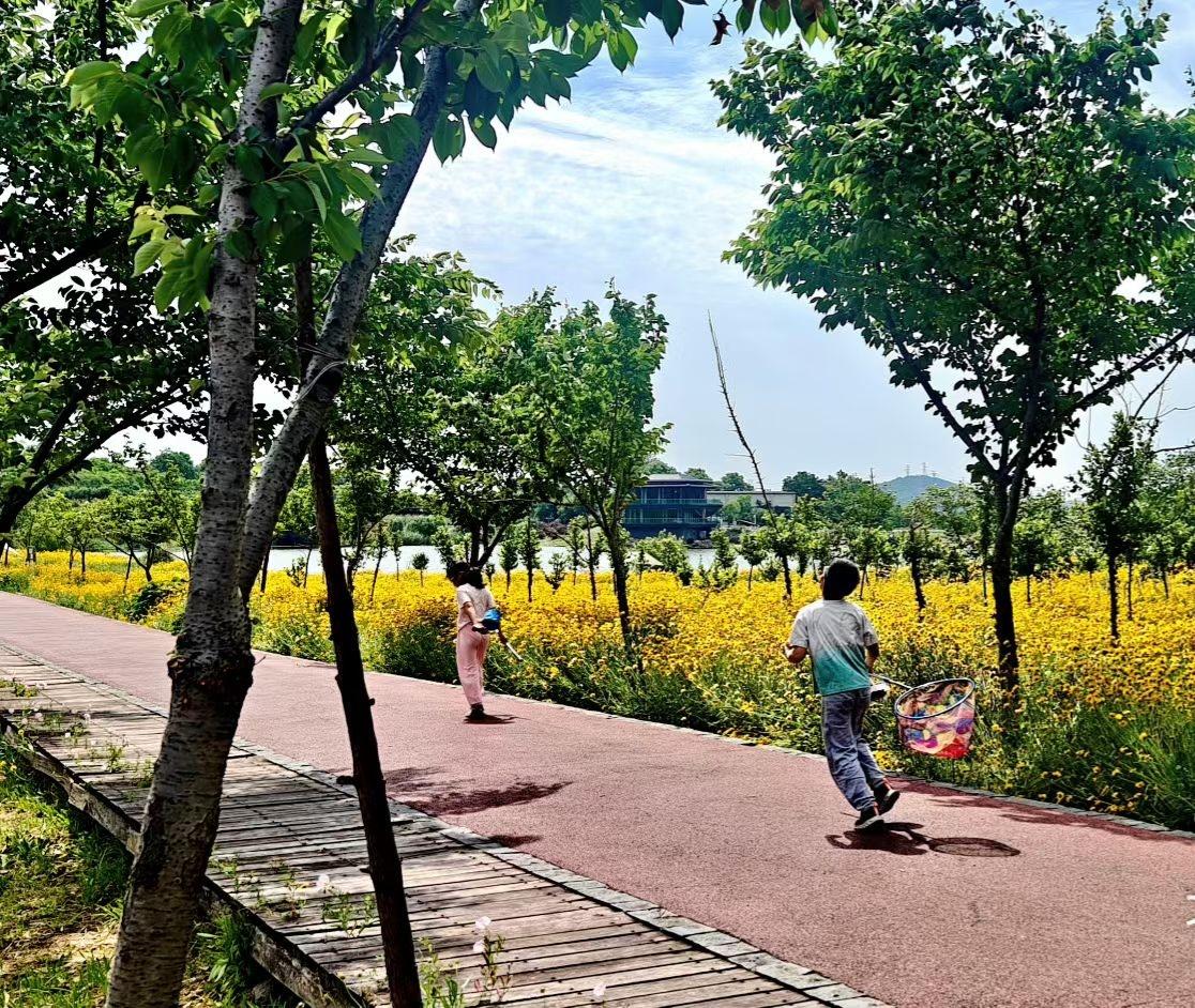 晒图笔记大赛风掠过漫野黄花，孩童提着网兜奔向盛夏，林间藏着最纯粹的欢喜，阳光正好