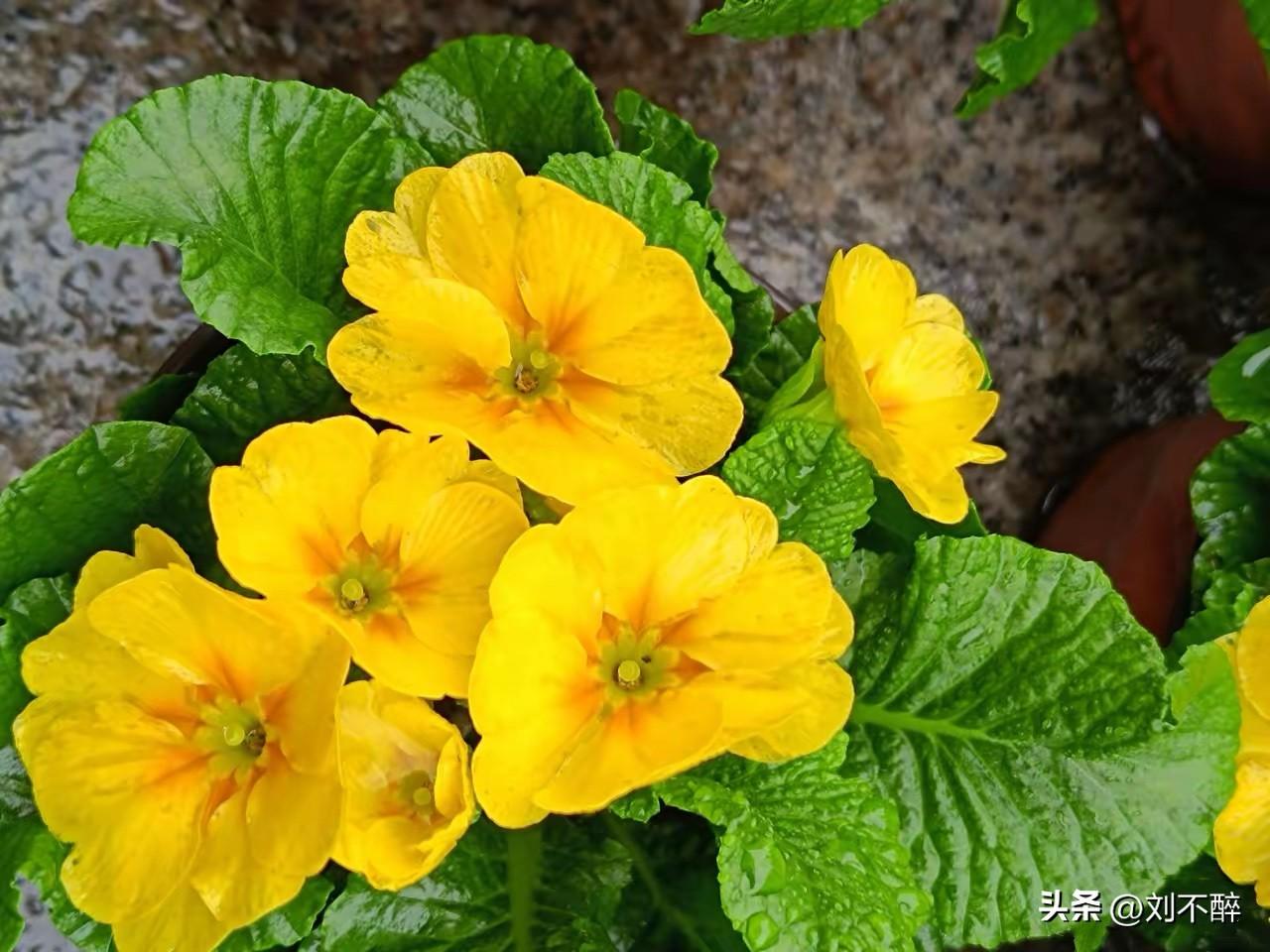 敌人并不可怕，可怕的是内鬼！
历史和现实都给我们上了惨痛的一课。
北宋经济繁荣、