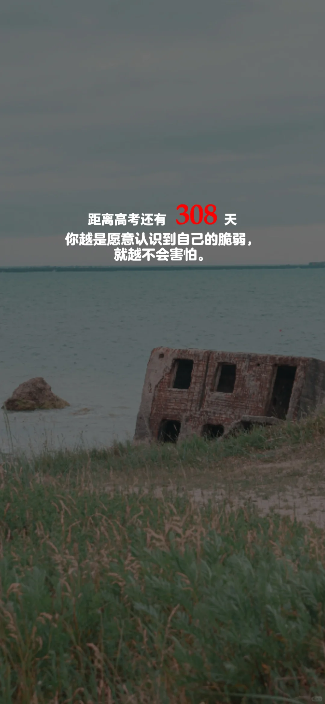 2025高考倒计时，每日更新。