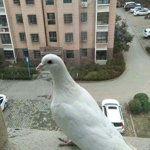 人民幸福加油站