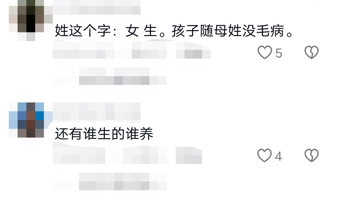 A：女人生孩子，孩子应该随母姓。B:  谁生的谁养。——有没有一种感觉，这届的集