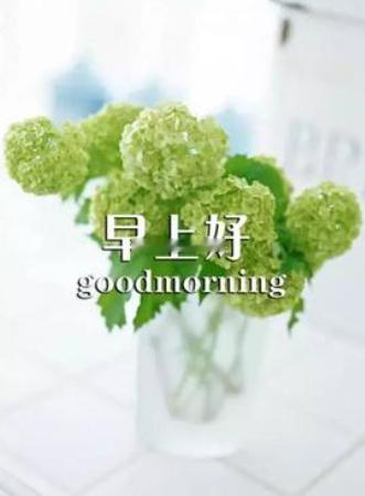 早安[超话] 心怀热爱，奔赴新一天的美好。伙伴们，早上好！ ​​​