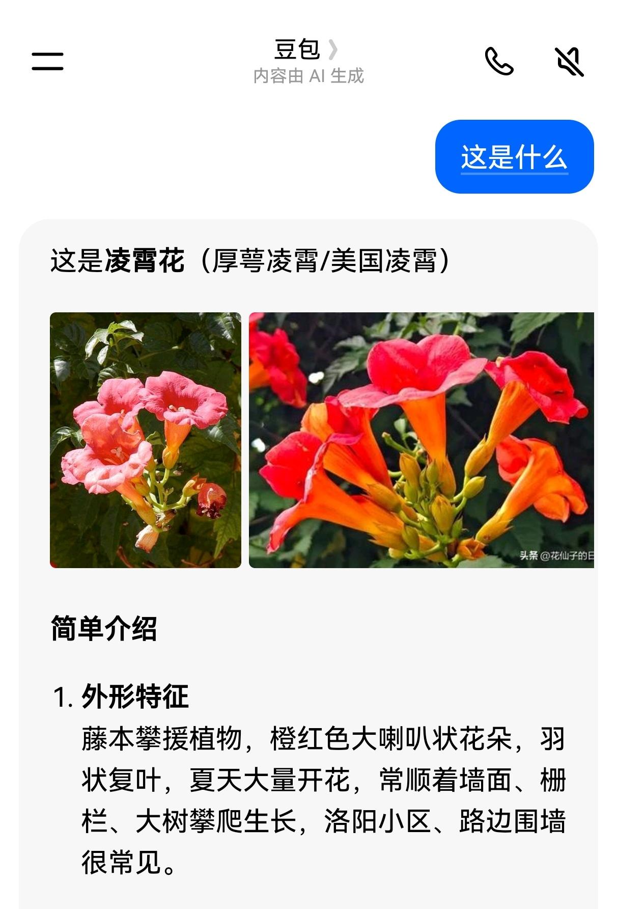 今天晨起散步，看到路旁的花朵开得娇美，我随手拍下了几张照片。

回来后问豆包这两