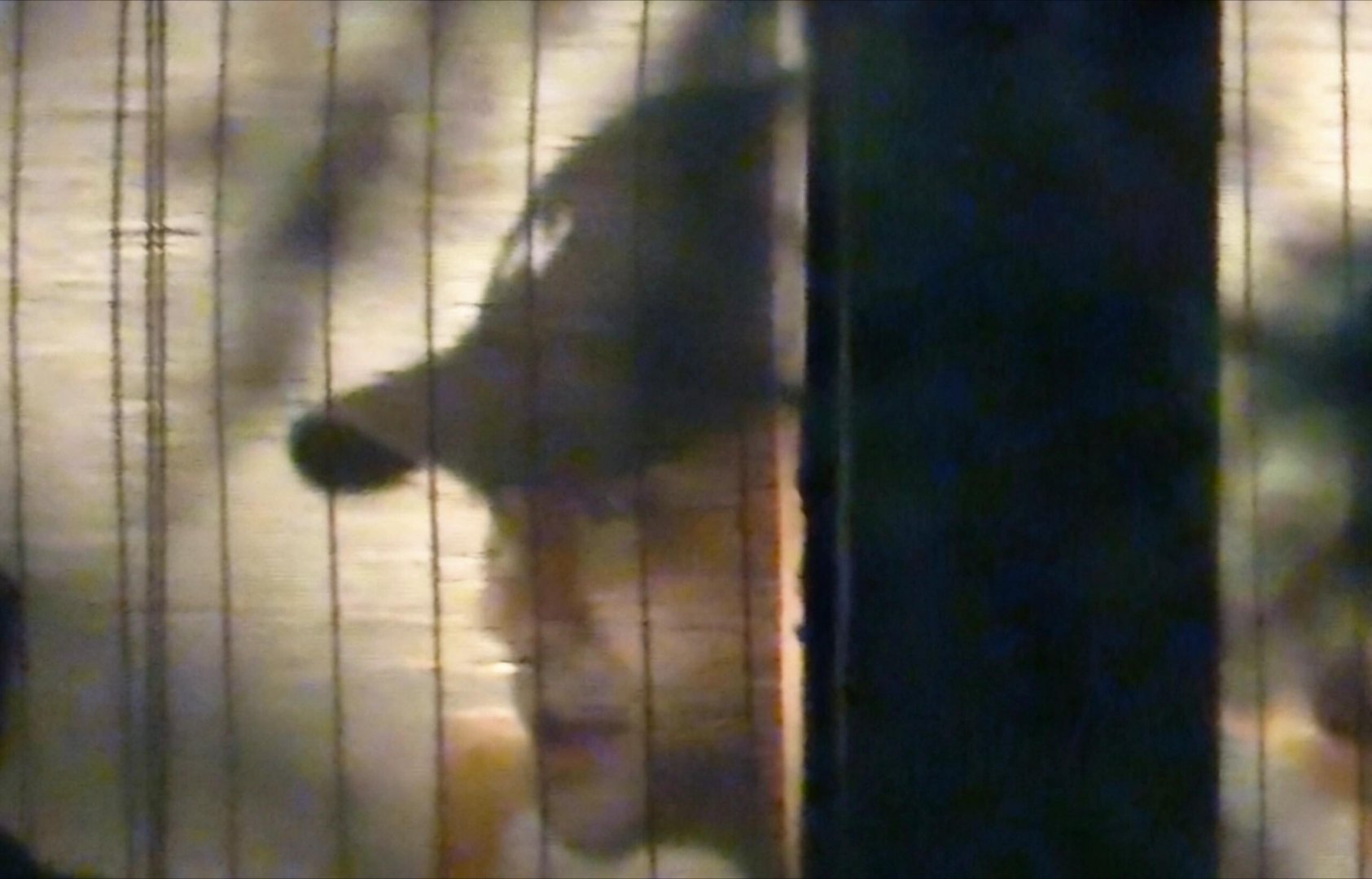 童瑶带老公与王凯参加聚会，41岁童瑶发际线后移明显！ 