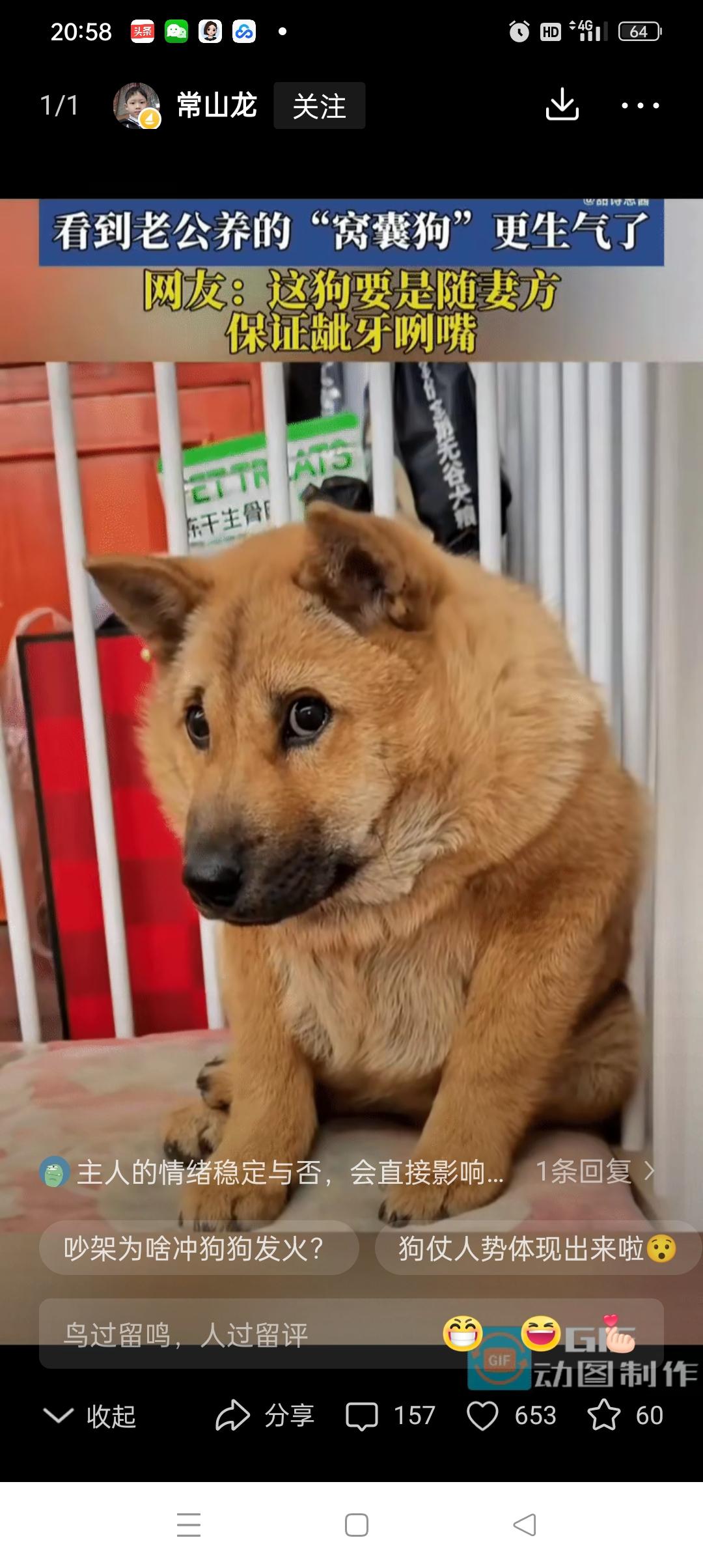 女子跟老公吵架后，看到老公养的狗狗，正夹着尾巴蹲在角落里，怯怯地望着自己。女子气