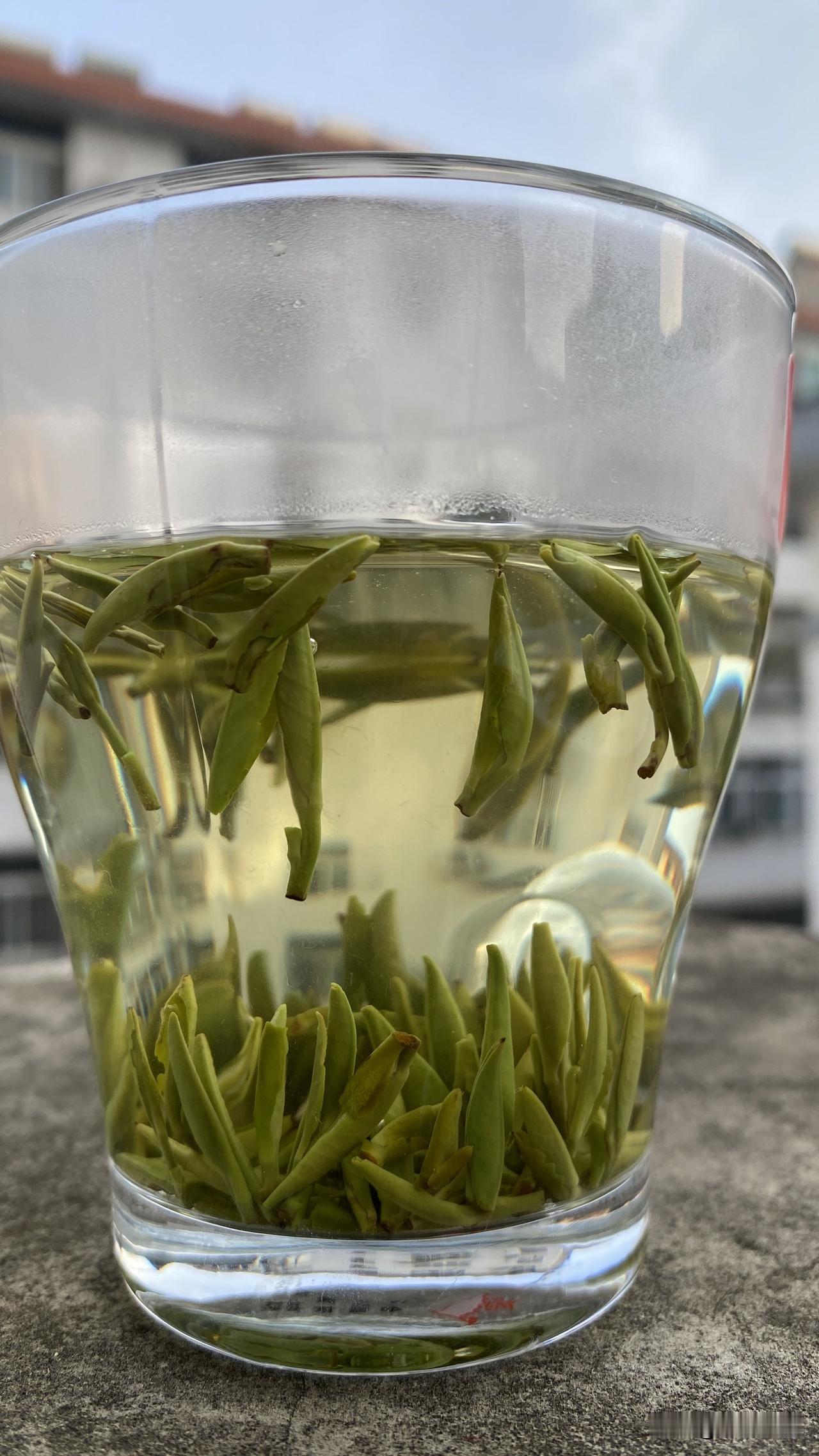 今年第八年卖茶了，发现很多人喜欢外形好芽头多的茶，但听完报价又觉得太贵，他们的要