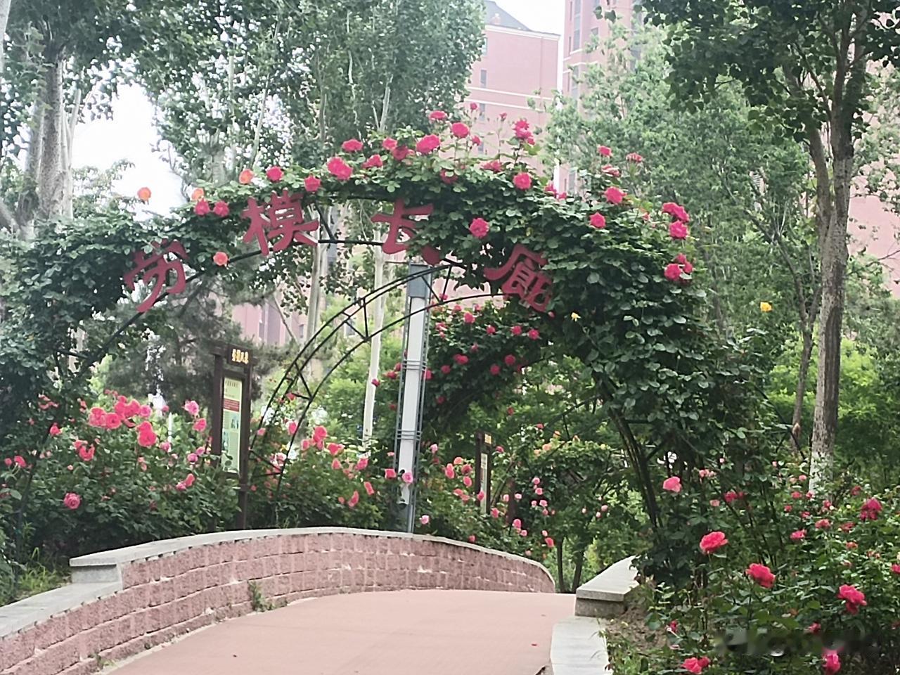 中年夫妻最终的归宿是什么?人到中年，夫妻之间早已褪去年少时的轰轰烈烈，没有了花前