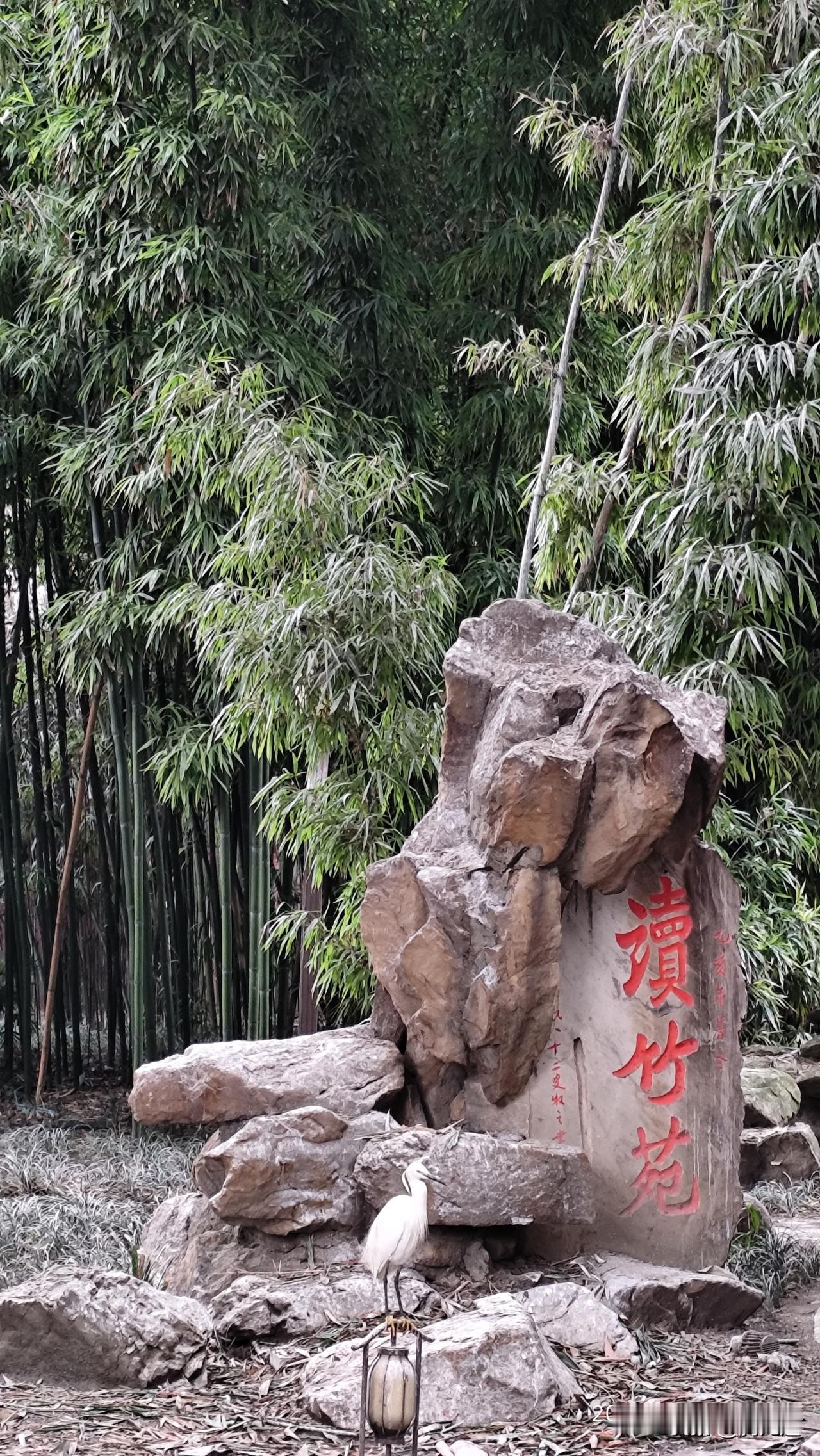 公园美丽景随拍成都望江楼公园读竹宛风光