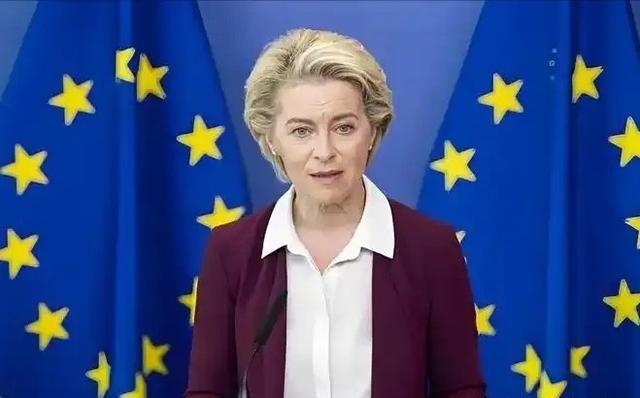 欧盟主席冯德莱恩在台上宣布“永久停购俄罗斯油气”，话音未落，芬兰代表问：“如果特