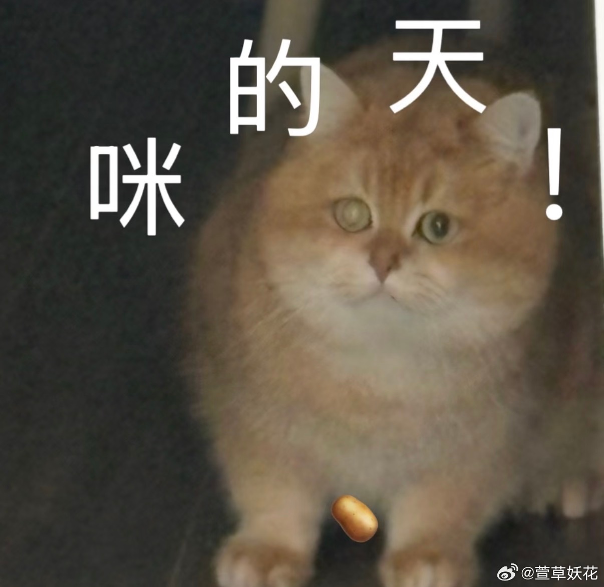 不要小看一两万块钱哈哈哈哈是什么让大家觉得两万块钱很少啊啊啊啊啊！！！！两万块钱