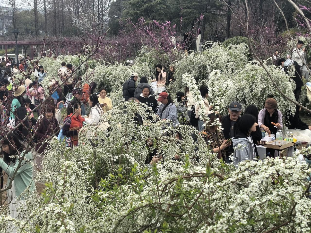 喷雪花前人潮涌