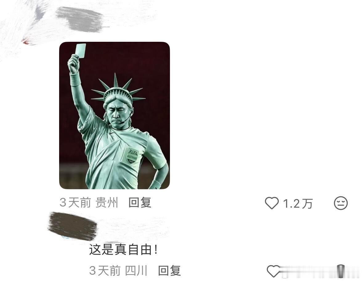 马宁又去征战世界杯了