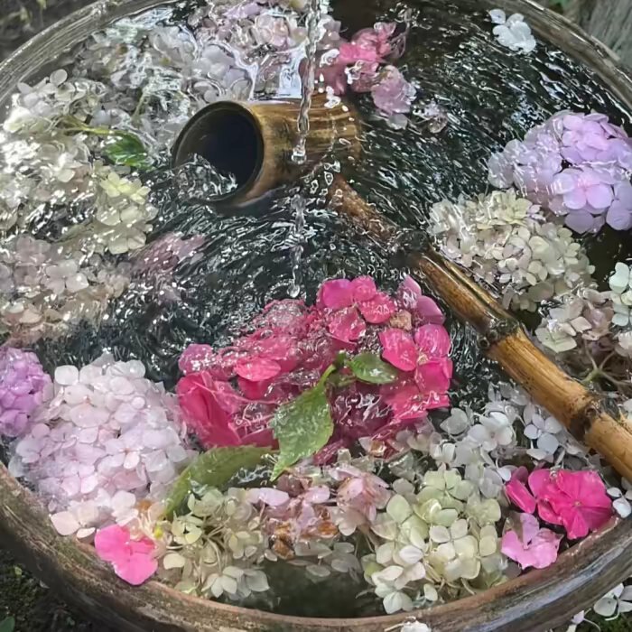小众无滤镜朋友圈背景图推荐💐🍑( ˘•ω•˘ ) 朋友圈背景图背景图