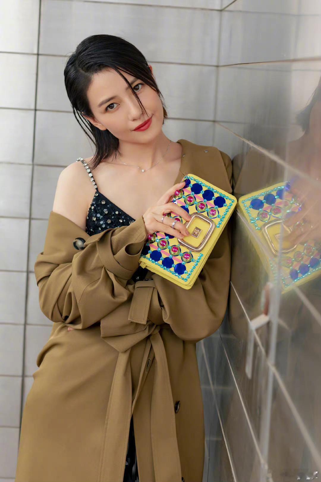 高圆圆 ​​​