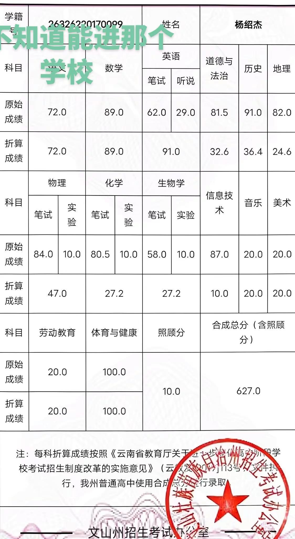 高分子材料与工程专业 纯度检测报告