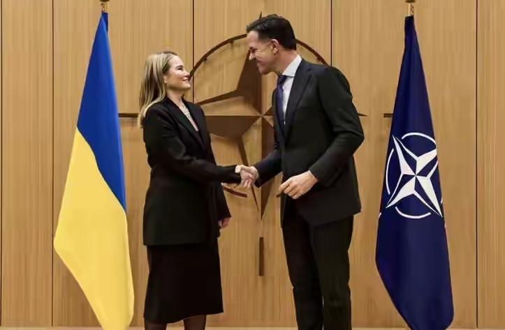 乌克兰理应成为欧洲之剑。以及北约之剑！乌克兰驻北约大使阿廖娜·格特曼楚克在英国媒