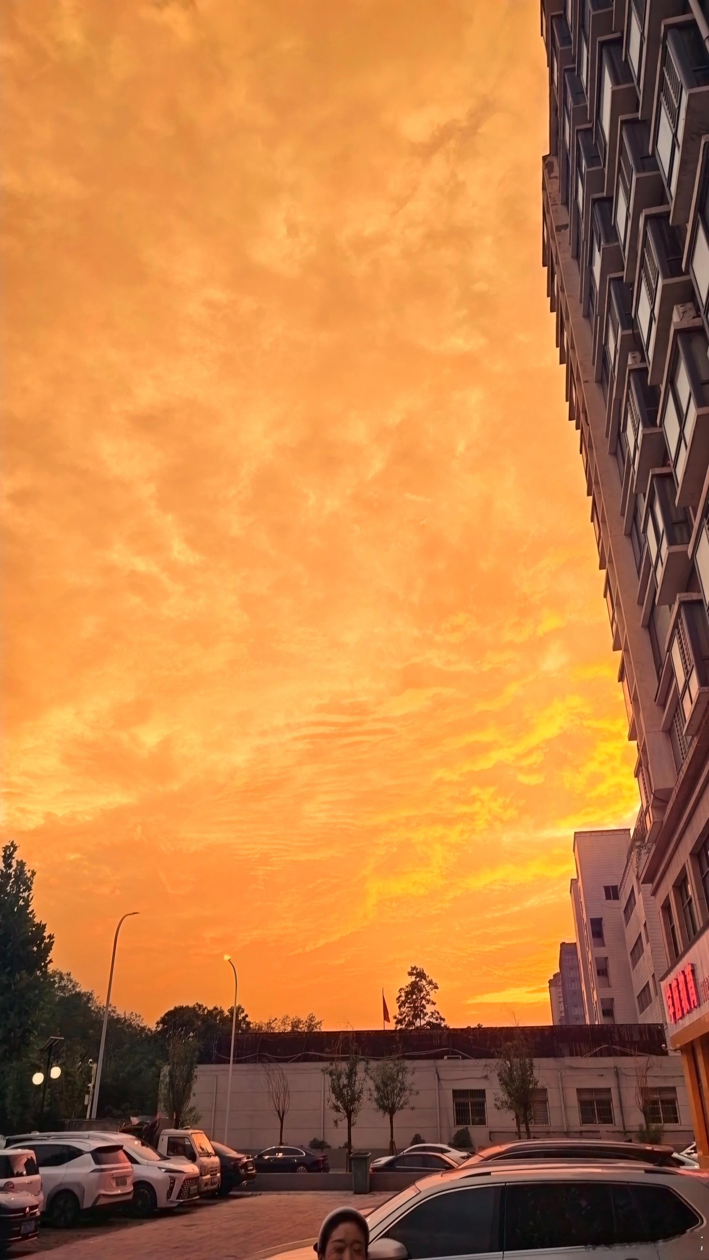 一条plog告别八月夕阳无限好，只是近黄昏。！！八月，就这样结束了。。  ​​​