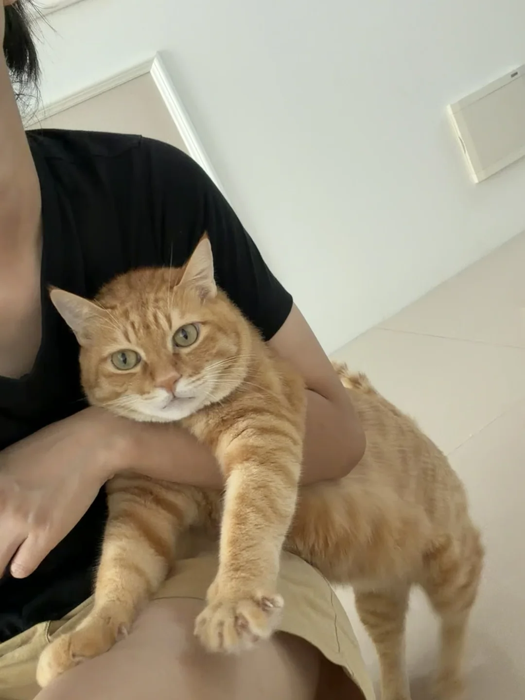 强制爱