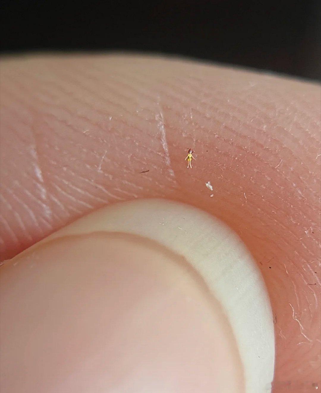 显微镜才能看见的娃娃 网友做了个显微镜才能看见的娃娃评论：一觉醒来被螨虫抬走了 