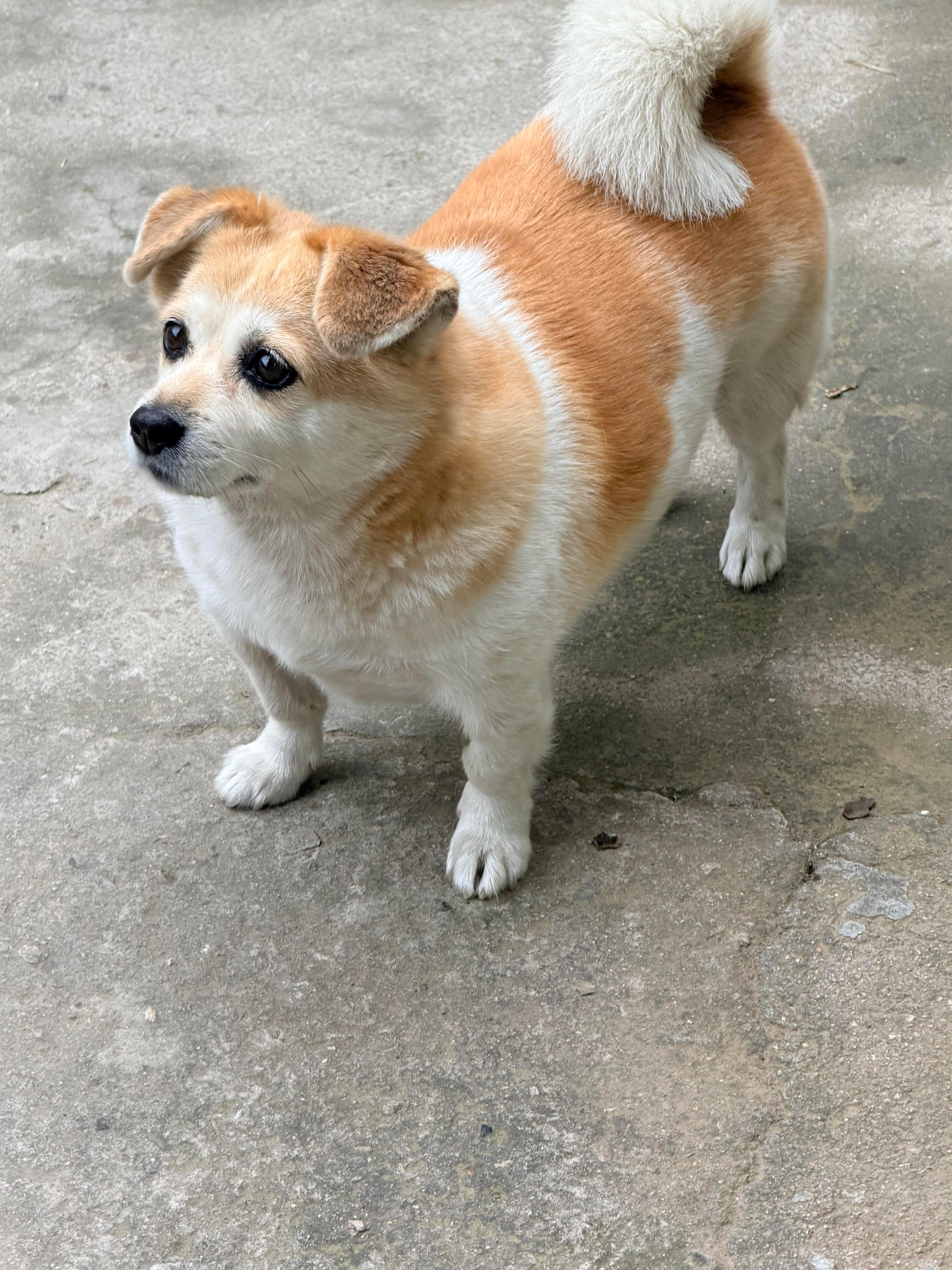 假期要结束了吗[可怜] ​​​