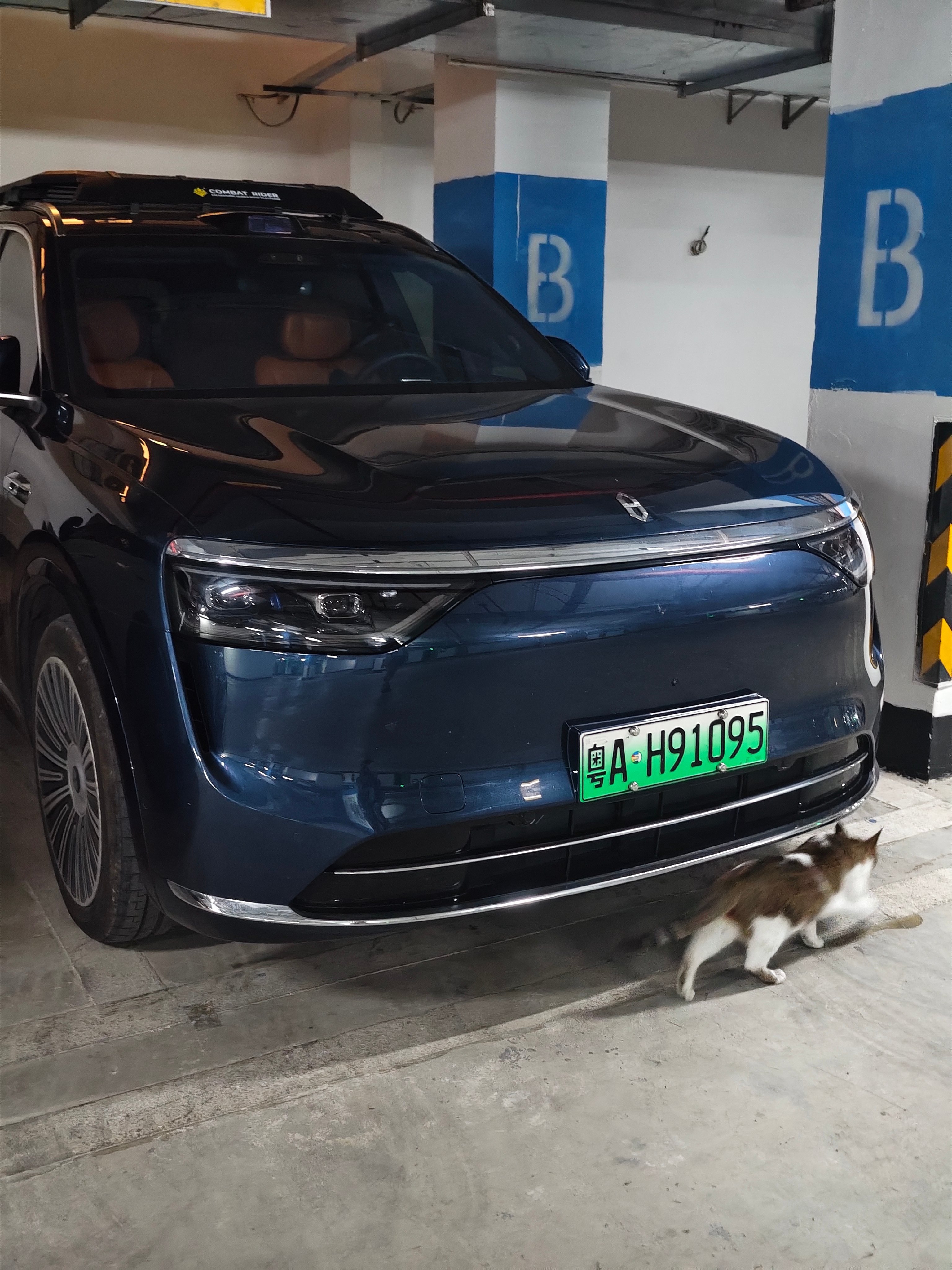 问界M8有这么香吗？我家猫围着车闻了半天都不肯走。