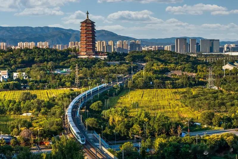 年轻人不喜欢道德绑架，这年头真是无奇不有！竟有人把高铁车厢当成了公交车站，理直气