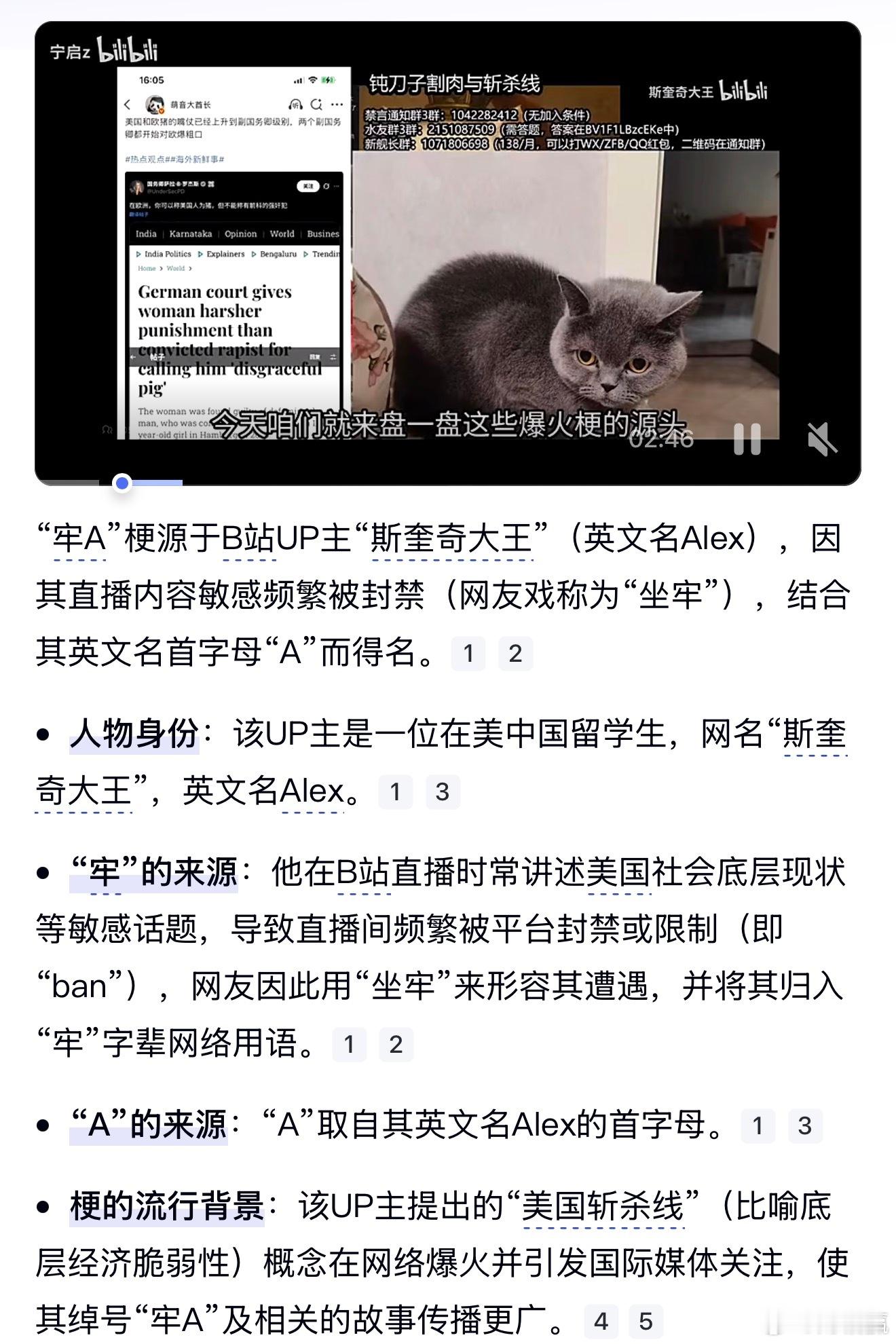 “牢A”梗源于B站UP主“斯奎奇大王”（英文名Alex），因其直播内容敏感频繁被