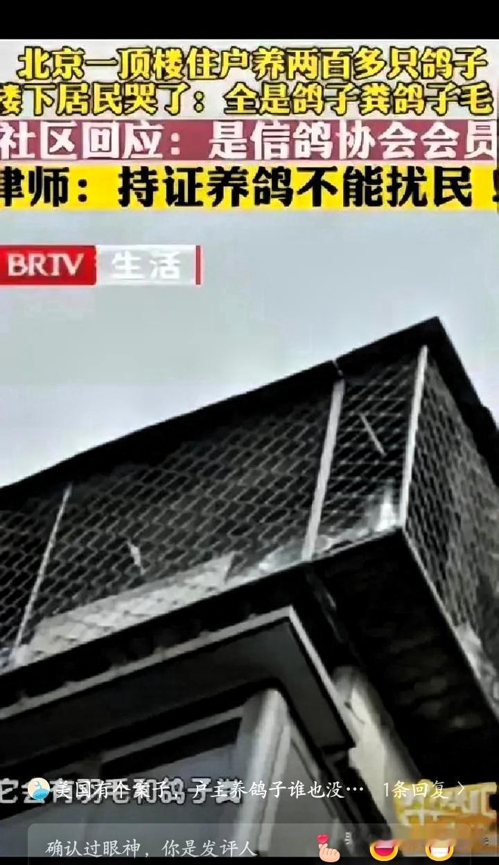 “太缺德了。”北京一男子花235万元买套房子，结果楼上邻居养了200多只鸽子，楼