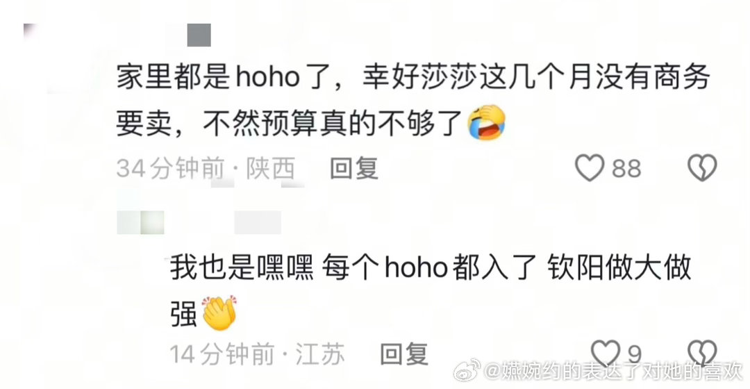 《家里都是hoho了，幸好莎莎这几个月没有商务要卖，不然预算真的不够了》那堆瞎出