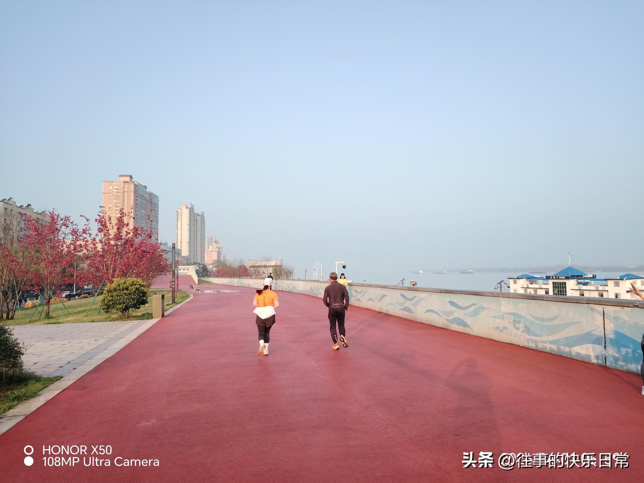 单依纯向李荣浩道歉你怎么看道歉是应该的