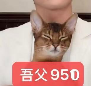 你们懂什么是金花 