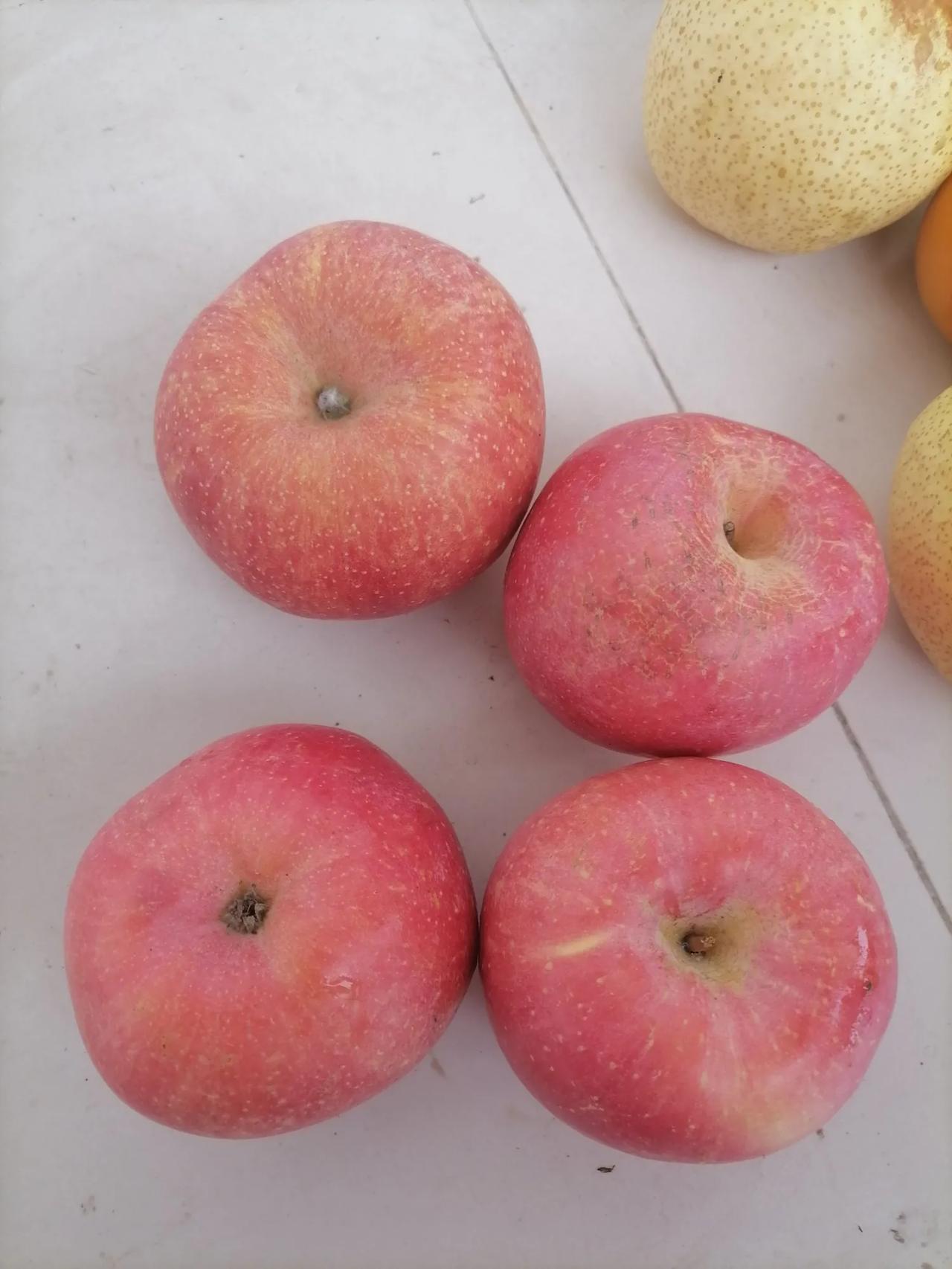 我今天匆匆忙忙的跑去街上水果摊上买了一些水果。因为今天起来的比较晚到八点半钟才起