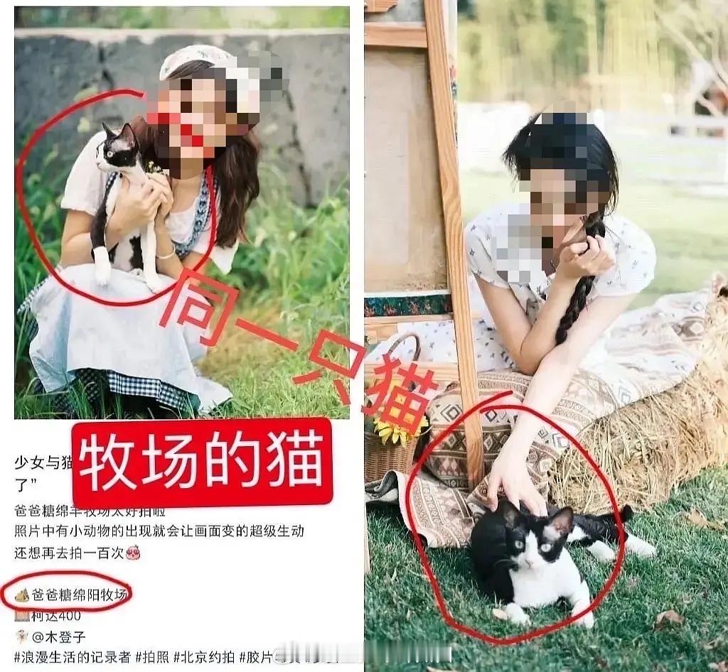 严浩翔养的猫网传女同学（实际为某牧场所养）的猫并非同一只，冠军导师严浩翔无妄之灾