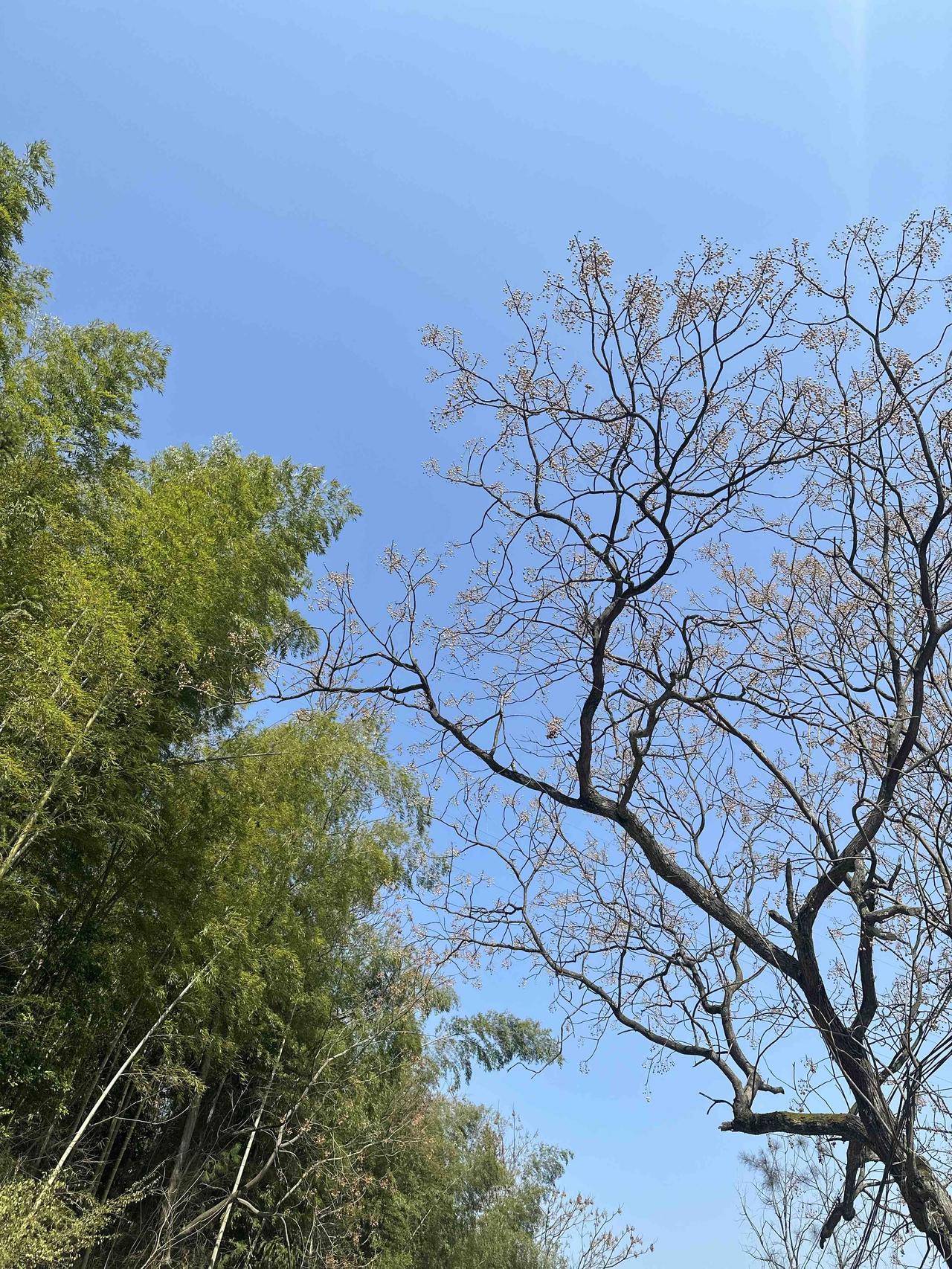 钱，带不走；
名，留不住；
房，只是临时住一住。

真正属于自己的，只有三样：