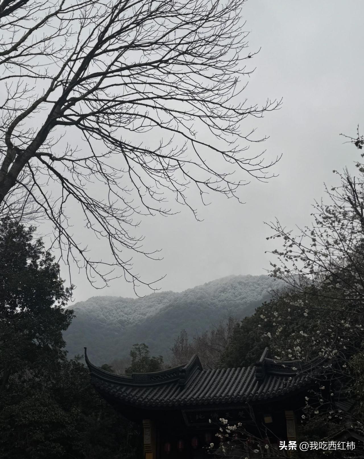 妈妈的爱需要100w彩礼
其实我并没有对于彩礼的预期，虽然npy说都可以，但是一