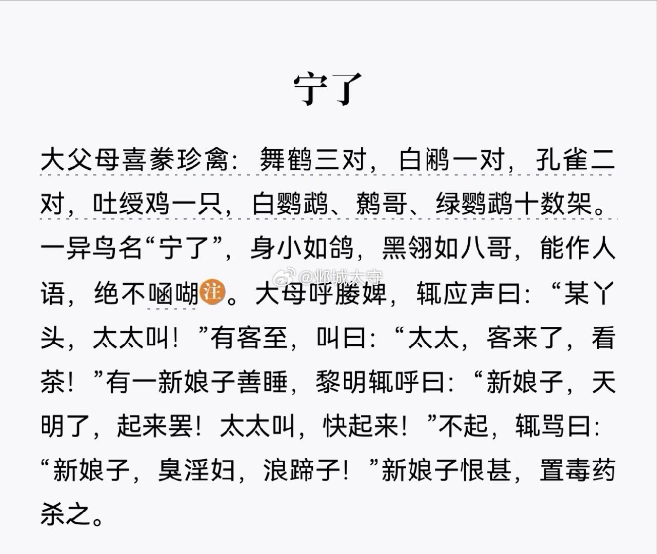 这鸟儿当真机灵有趣。 
