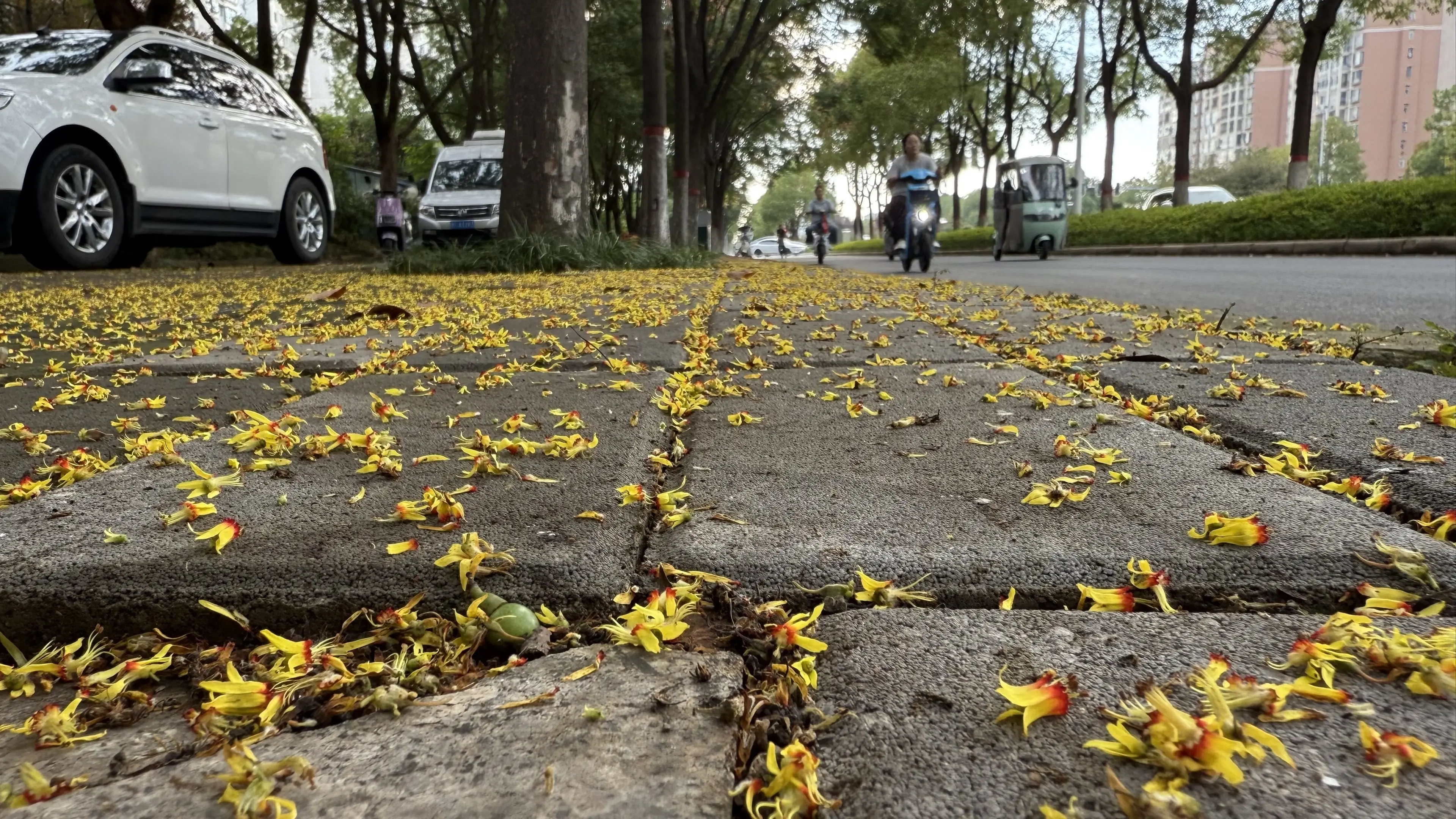 在最喜欢的秋天 希望有好事发生