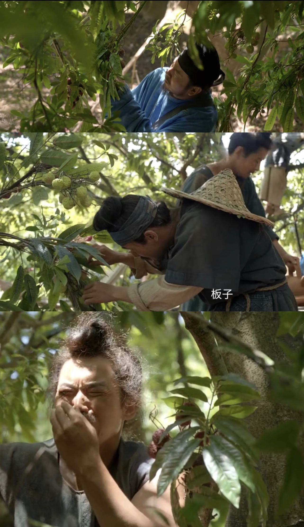 这么大制作，连荔枝树都不拍，感觉现在的导演和演员比唐朝的古人来岭南路途还艰难[笑