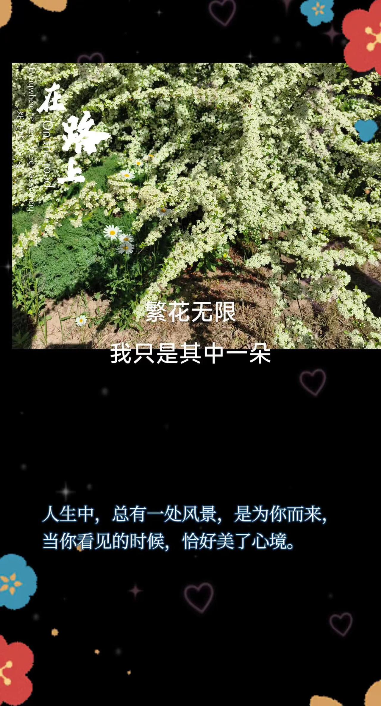 密密繁花中有我