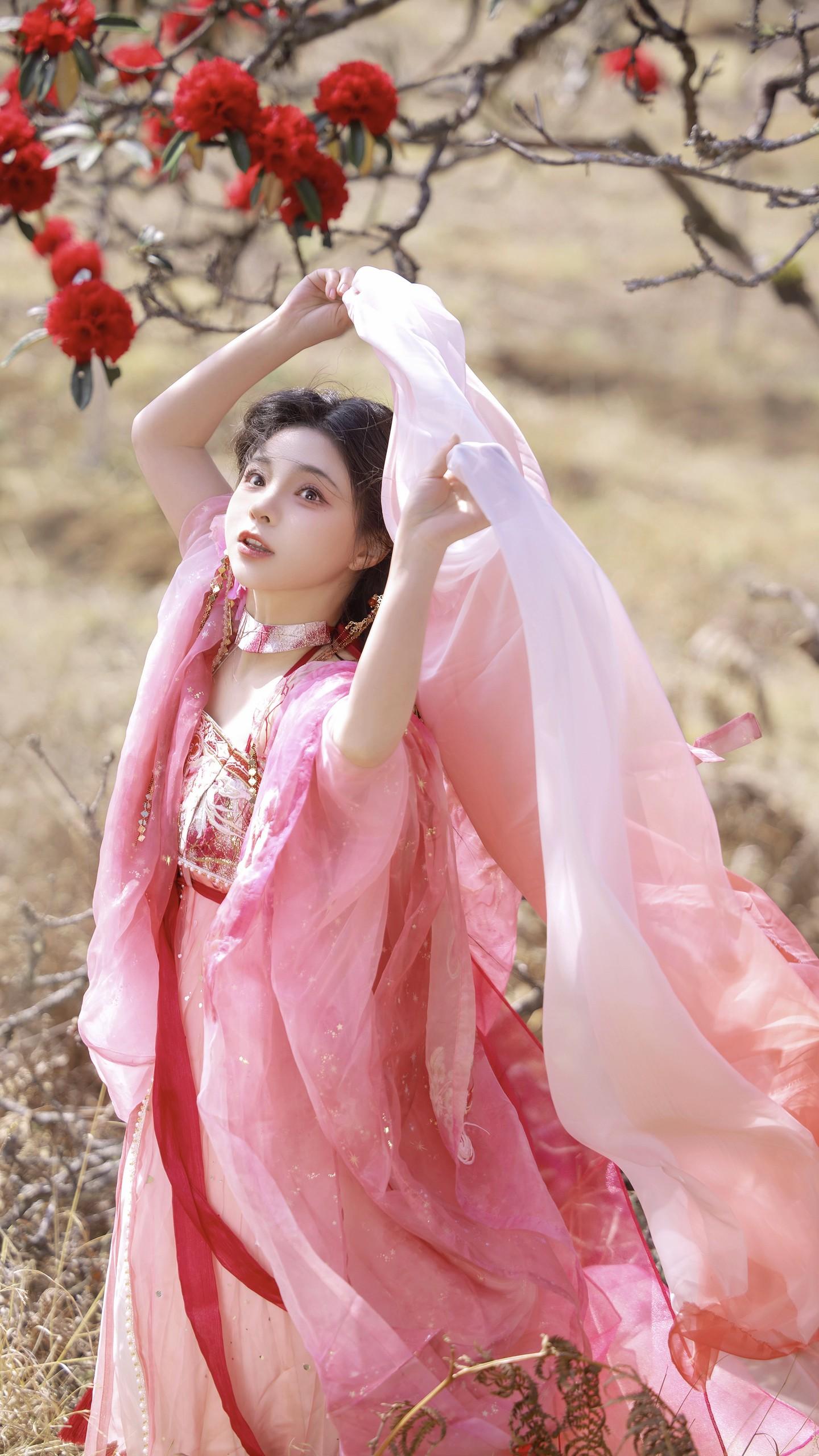 花期如期而至，你呢。存货发一发 还是马缨花 出镜：张家小界