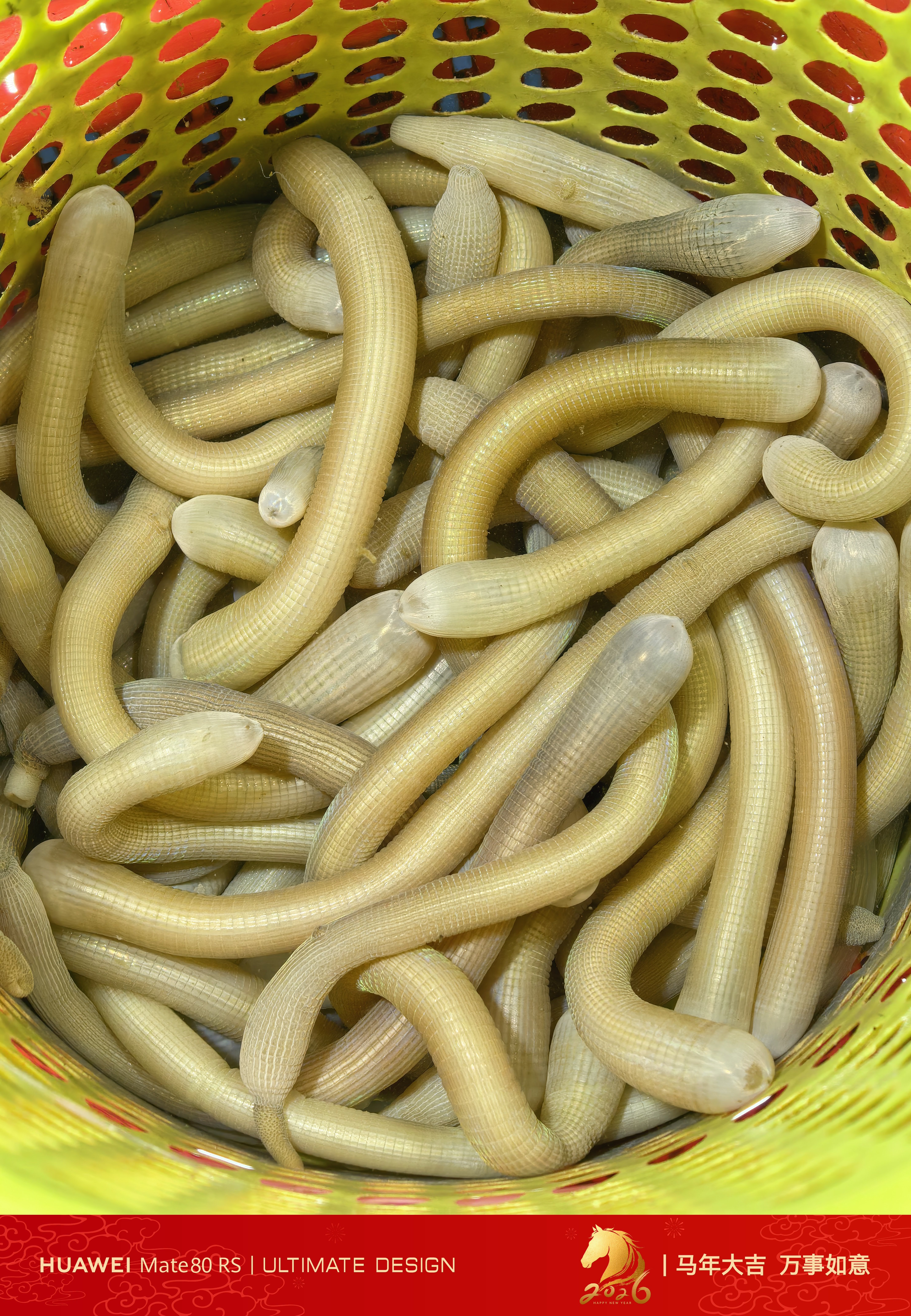 有人知道这是什么嘛