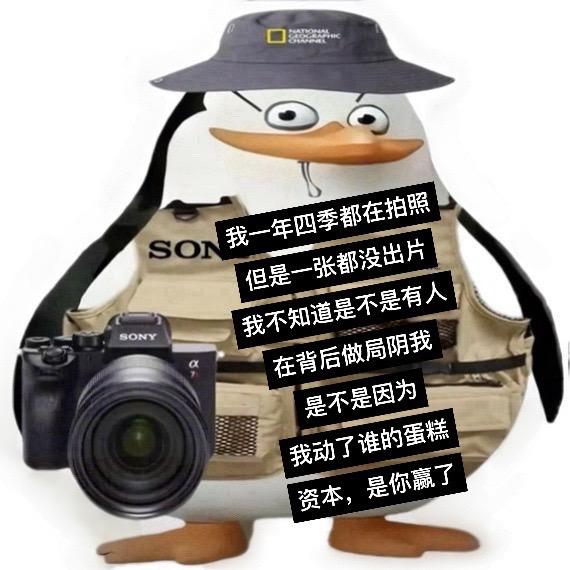 可恶的资本，是你们赢了