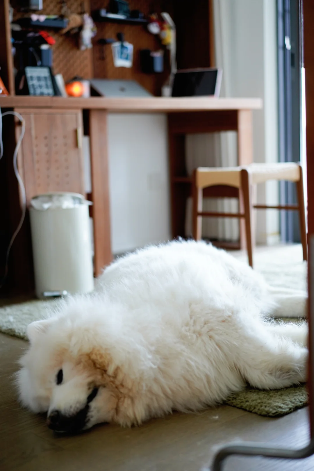 看看家里你最爱的角落