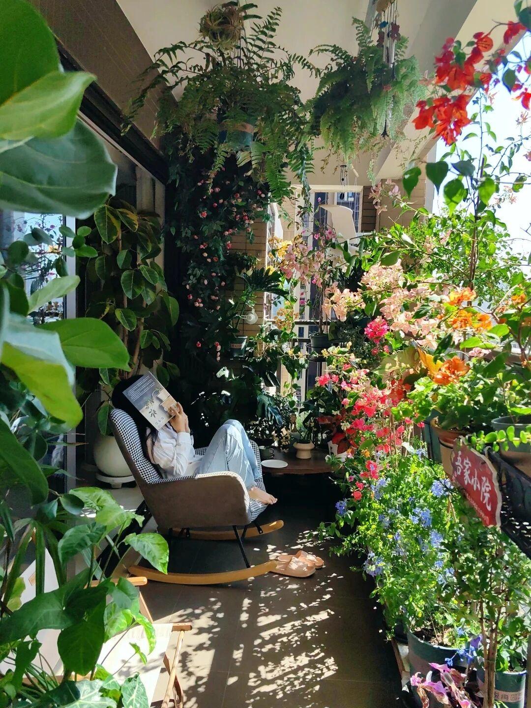 春天就是她家阳台的样子
太佩服这个女孩了
她养的不仅仅是花，更是拥抱了春天，拥抱