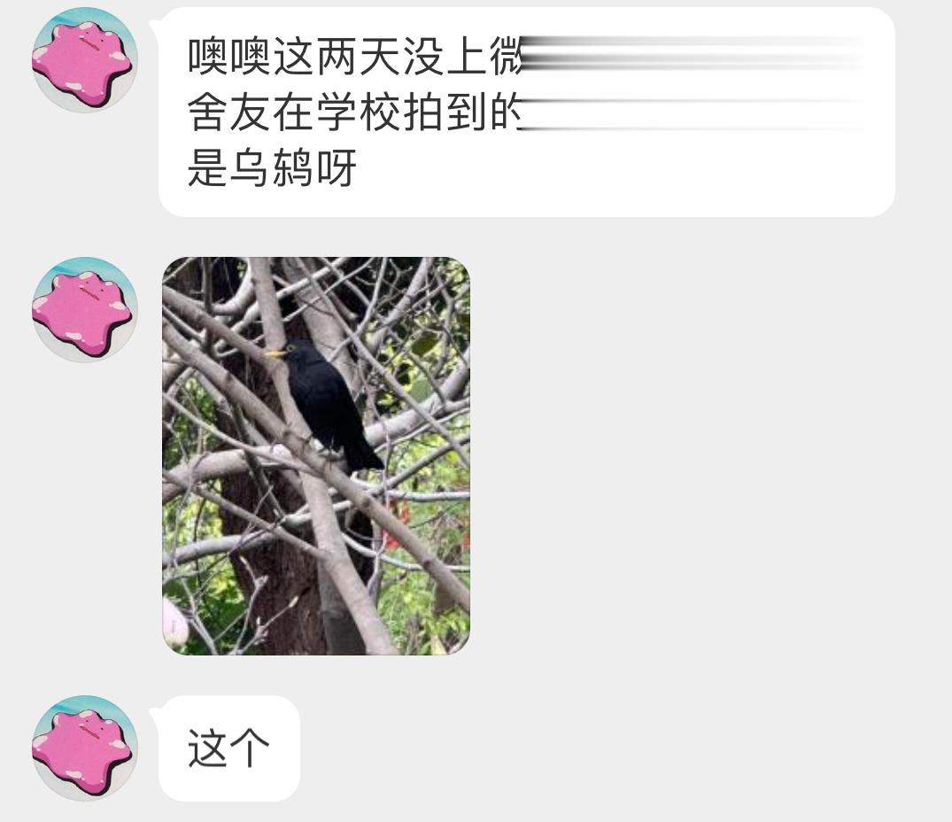 送分题环节～大声说出它滴名字！ ​​​