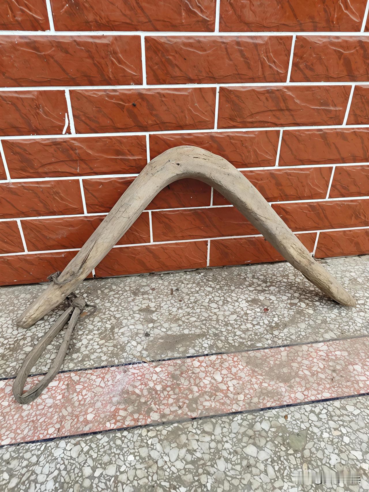 这是啥？问了50多人都说没见过，全部都说不认识它，都蒙圈了，我敢保证全网认识它的