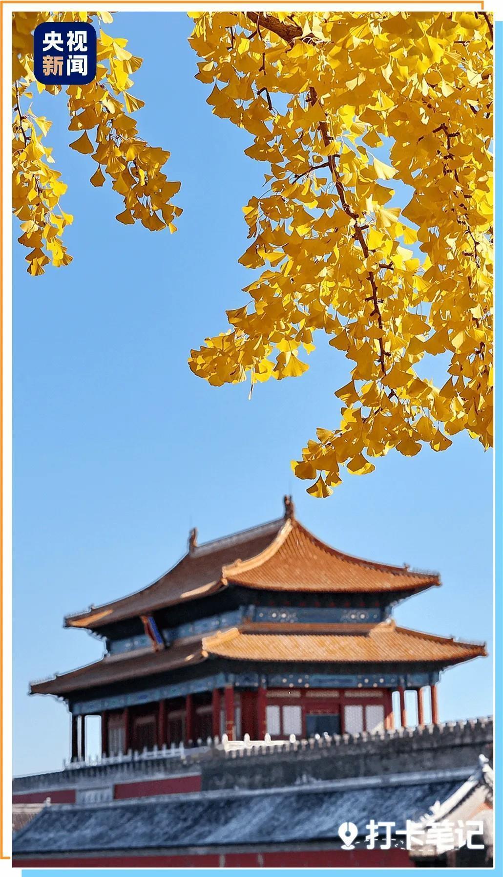 故宫博物院迎来建院100周年《百年守护》大展精选200件国宝，庆祝建院100周年