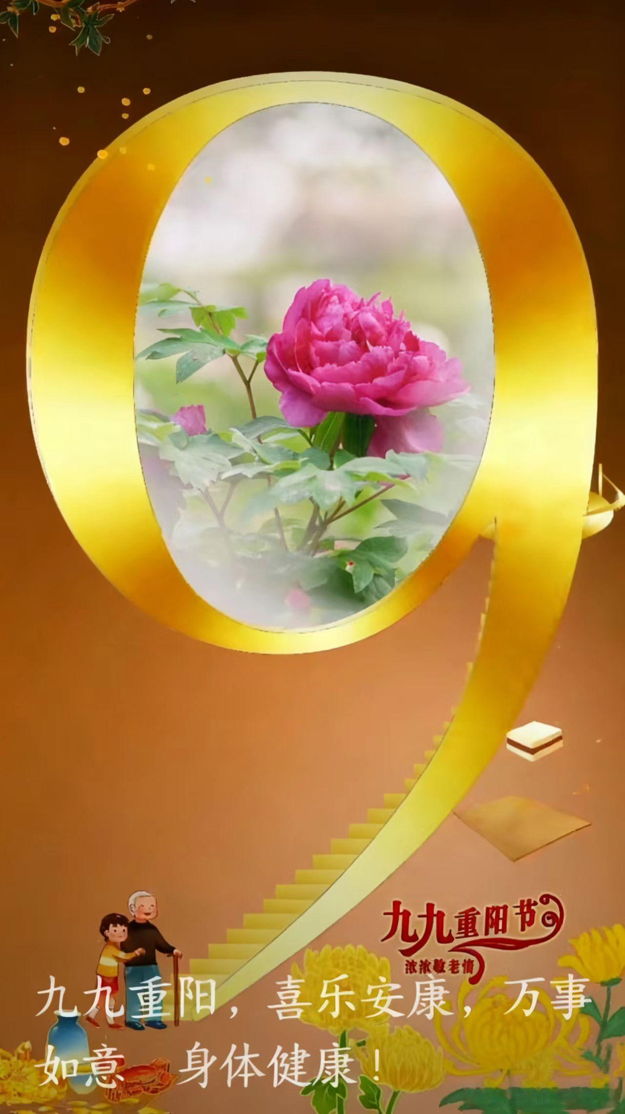 【九九重阳，喜乐安康】 ㊗️愿微博上的老年朋友们万事如意，身体健康！🌹🌹🌹