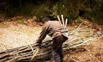 河北村民砍柴歇脚，意外发现罕见奇石

1991 年，河北一村民上山砍柴，又累又热