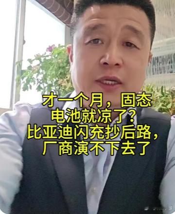 发现很多所谓的汽车博主，都是一根筋。也就是非此即彼，容不下多条路线。之前比亚迪闪